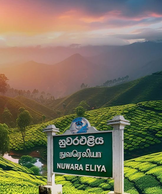 Nuwaraeliya