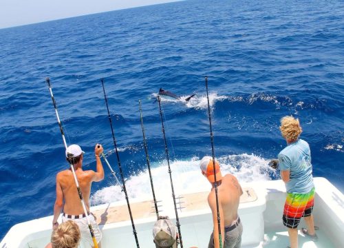 Deep Sea Fishing Day Tour